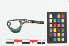Foto von Bronzekahnfibel (NHMW-PRAE-026319)